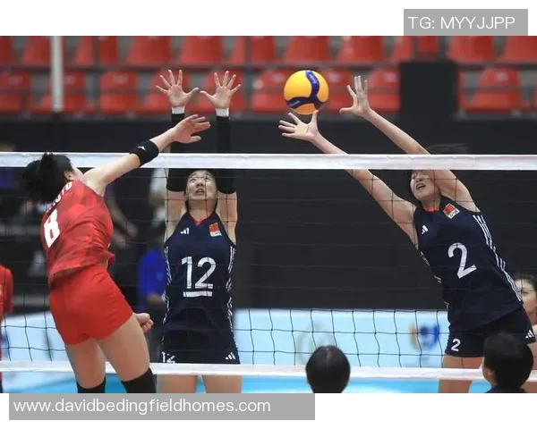 杭州排球队在全国排球意识排行榜中荣获第五名的辉煌成就